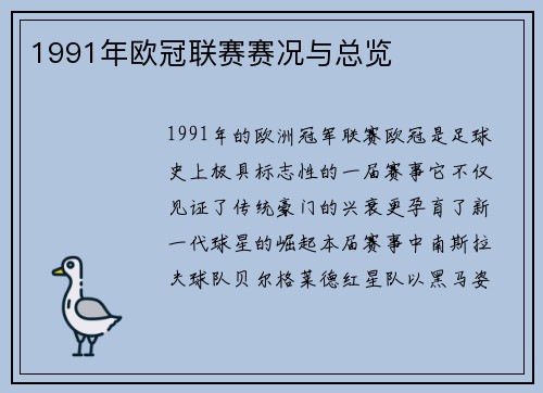 1991年欧冠联赛赛况与总览